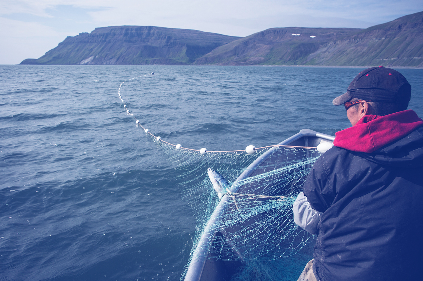 NEWTOK, AK - JULY 01: Joseph John Jr. hauls in nets while salmon fishing on July 1, 2015 in Newtok, Alaska. Newtok has a population of approximately of 375 ethnically Yupik people and was established along the shores of the Ninglick River, near where the river empties into the Bering Sea, by the Bureau of Indian Affairs (BIA) in 1959. The Yupik people have lived on the coastal lands along the Bering Sea for thousands of years. As global temperatures rise the village is being threatened by the melting of permafrost, greater ice and snow melt and larger storms from the Bering Sea. According to the U.S. Army Corp of Engineers, the highest elevated point in Newtok - the school - could be underwater by 2017. Approximately nine miles away, Mertarvik has been established, though families have been slow to relocate to the new village. (Photo by Andrew Burton/Getty Images)