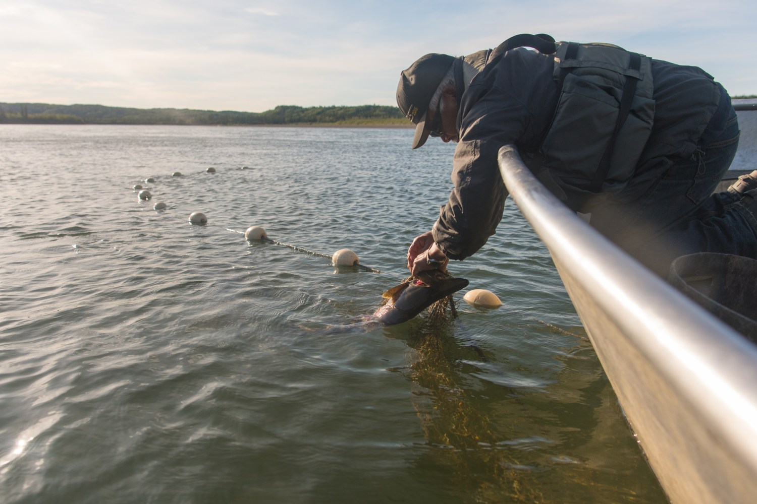 Person leaning over side of fishing boat to unhook fish